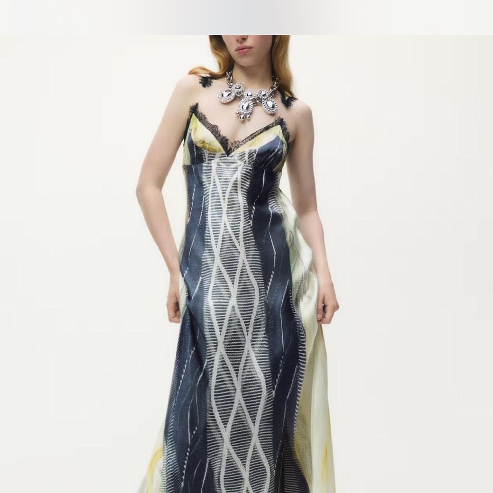 Glenn Martens H&M Printed Dress